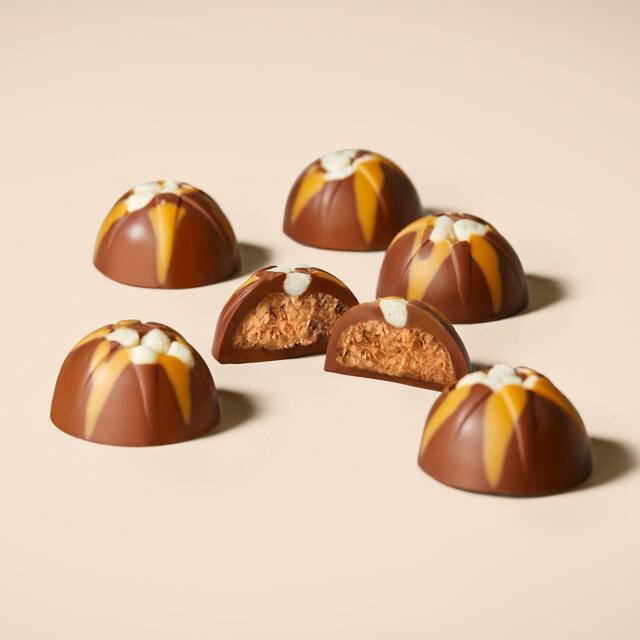Hotel Chocolat Billionaire Shortbread Chocolate Selector 73g