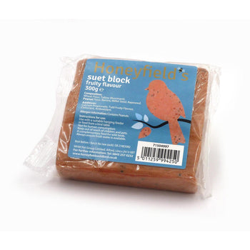 Honeyfield's Berry Suet Treat for Wild Birds