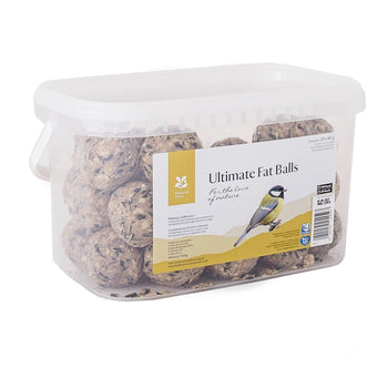 National Trust CJ Wildlife Fat Bälle für Wildvögel 30pk
