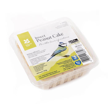 National Trust CJ Wildlife Insekten Erdnusskuchen 300g