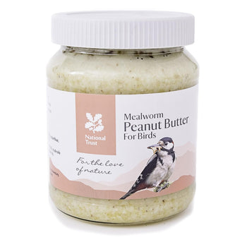 National Trust CJ Wildlife Mealworm Erdnussbutter für Wildvögel 330G
