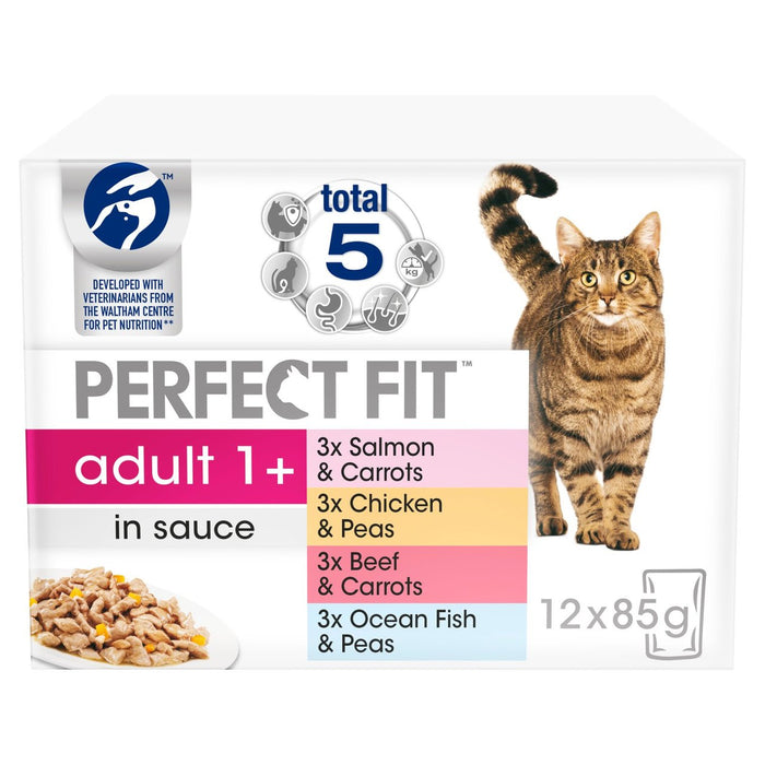 Perfekte Pass