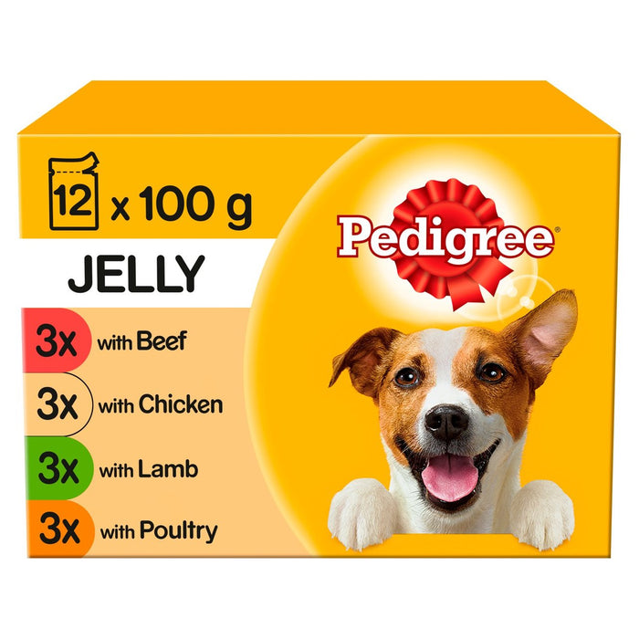 Pedigree Erwachsene nasse Hundefutterbeutel gemischte Auswahl in Gelee 12 x 100g