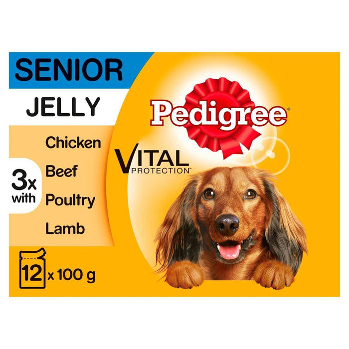 Pedigree Senior Wet Dog Food Pouches in Jelly 12 x 100g